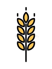 an ear of wheat on a white background stock illustration