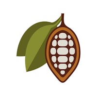 a cocoa pod with leaves on a white background