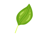 a green leaf on a black background