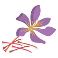 a purple flower on a black background
