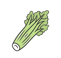 a green leafy vegetable icon on a white background