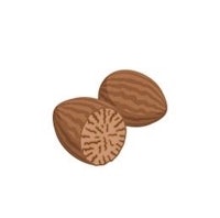 two almonds on a white background
