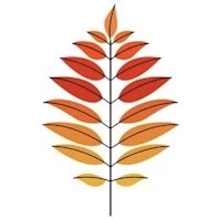 a leaf with orange and yellow leaves on a white background