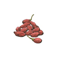 a pile of red goji berries on a white background